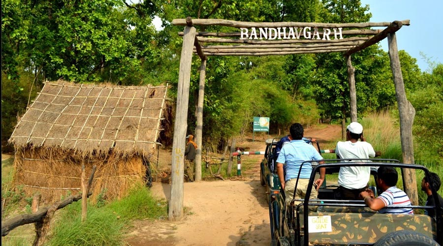 bandhavgarh1